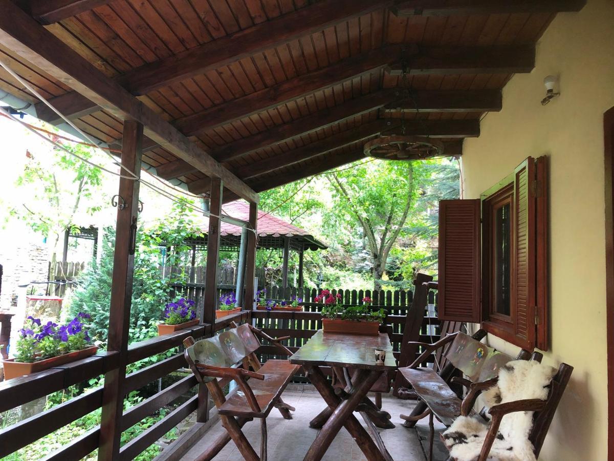 Family House Villa Busteni Ngoại thất bức ảnh