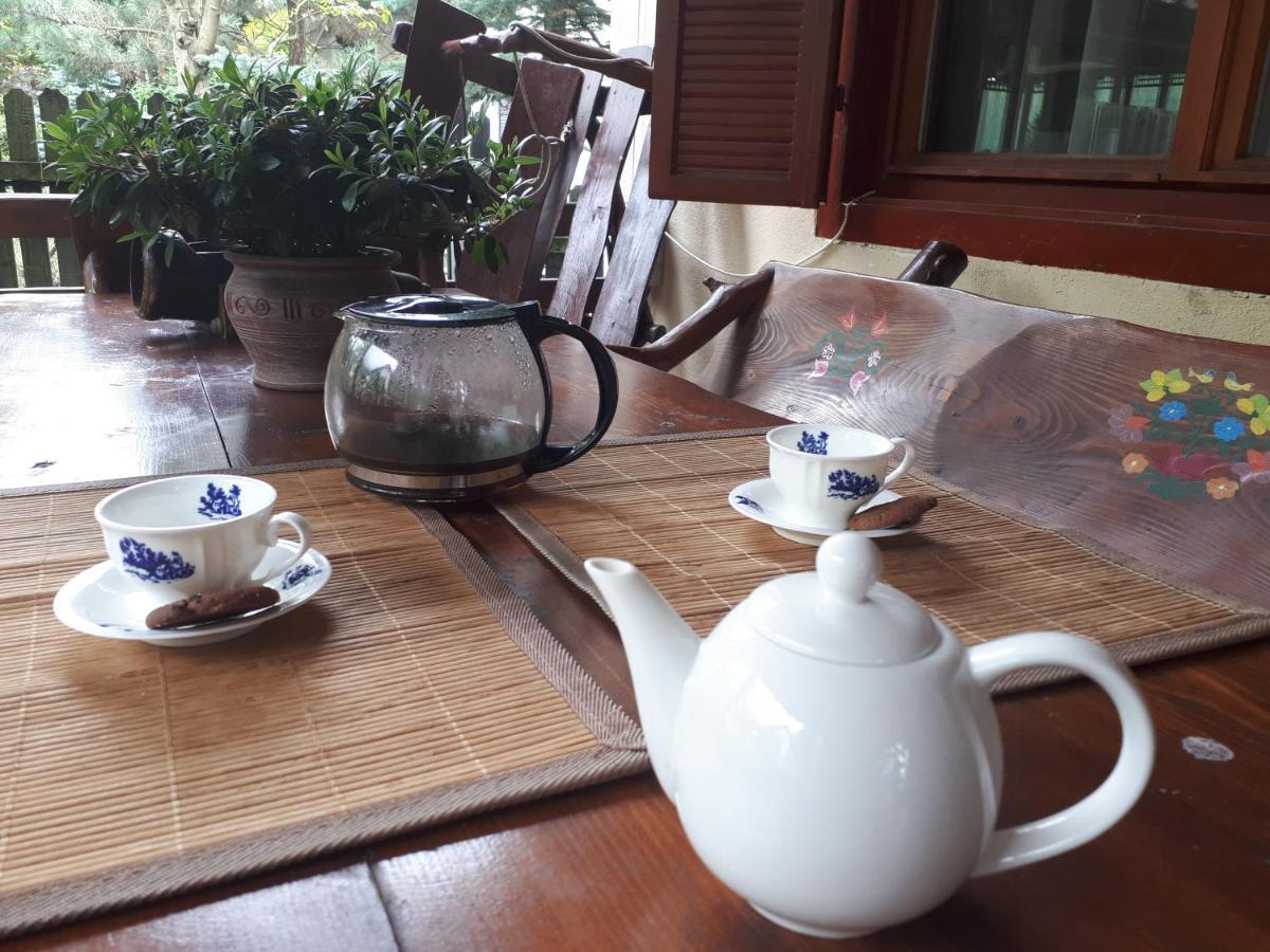 Family House Villa Busteni Ngoại thất bức ảnh