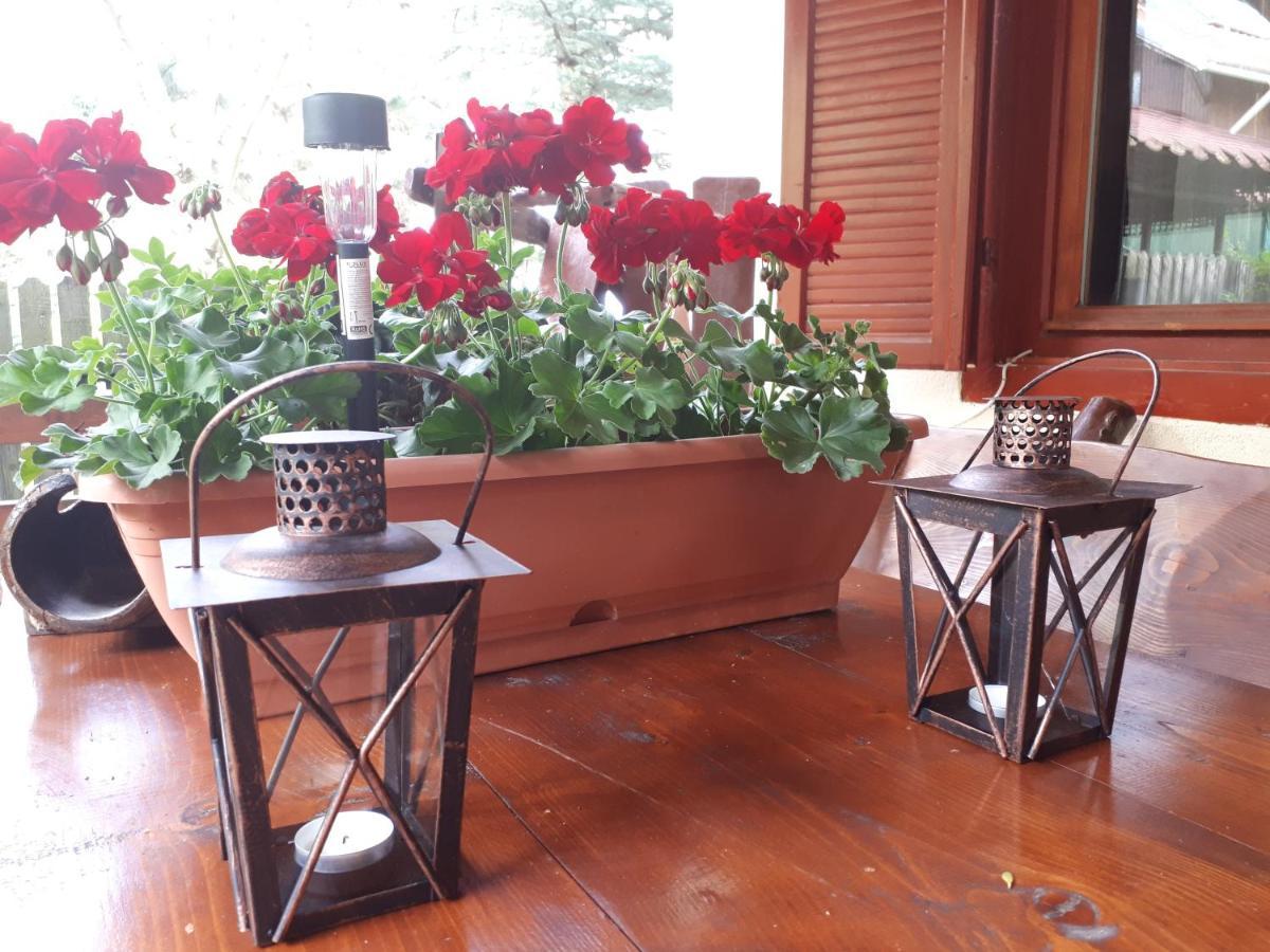 Family House Villa Busteni Ngoại thất bức ảnh