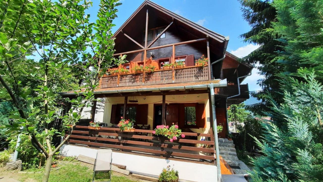 Family House Villa Busteni Ngoại thất bức ảnh