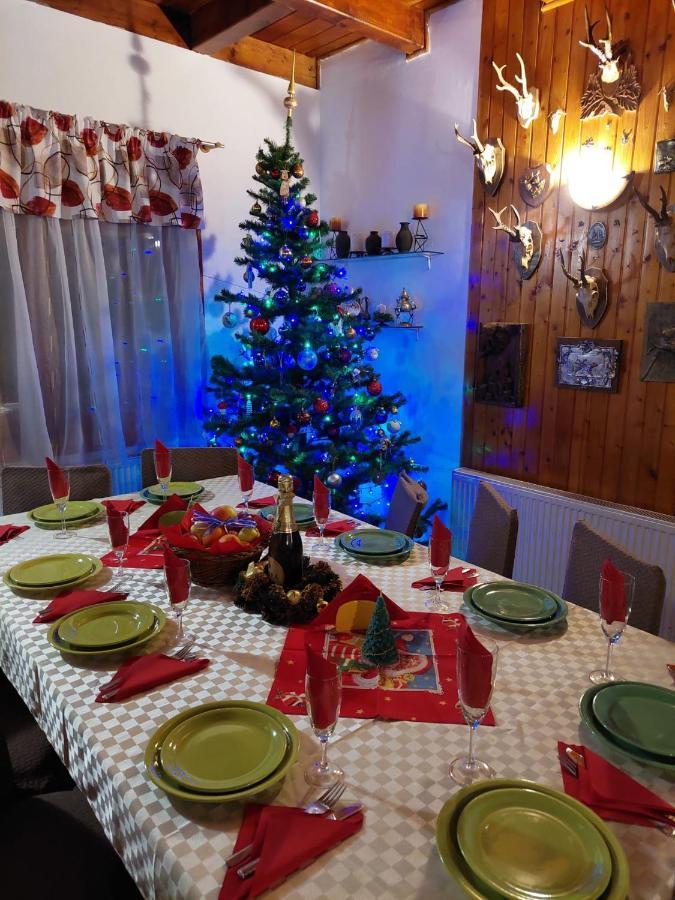 Family House Villa Busteni Ngoại thất bức ảnh